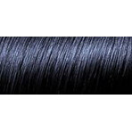 L'Oréal Paris Haarfarbe Präferenz P12 Blau Schwarz