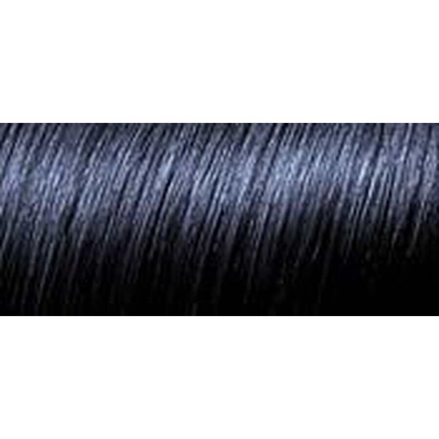 L'Oréal Paris Haarfarbe Präferenz P12 Blau Schwarz