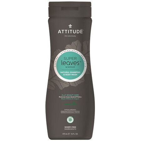 Attitude Super leaves Șampon și săpun de corp pentru bărbați (2in1) cu efect de detoxifiere, anti-mătreață 473 ml