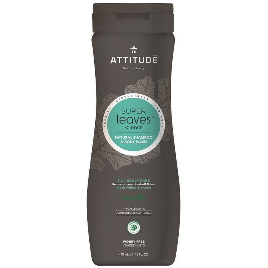 Attitude Super leaves Șampon și săpun de corp pentru bărbați (2in1) cu efect de detoxifiere, anti-mătreață 473 ml