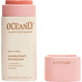 Attitude Oceanly Solid Cream Blush - Silky Pink 8.5 g