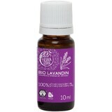 Tierra Verde Organic essential oil Lavandin 10 ml