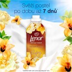 Lenor Weichspüler Orchidee 2 x 925 ml