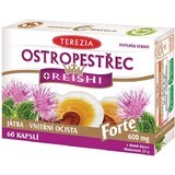 Terezia Distel + reishi forte 600 mg 60 capsules