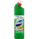 Domestos 24h Plus Frische Kiefer 750 ml