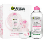 Garnier Skin Naturals Rose Weihnachtspaket 2023 - Creme + Mizellenwasser