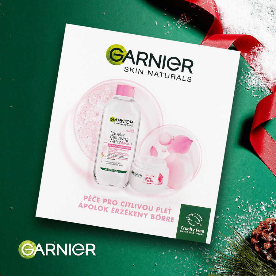 Garnier Skin Naturals Rose Weihnachtspaket 2023 - Creme + Mizellenwasser