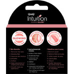 Wilkinson Sword Intuition Dermaplaning Têtes de rechange pour dermaplaning 3 pièces