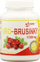 Nutricius URO Cranberry 60 Tabletten