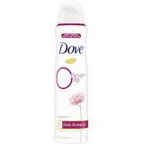 Dove Deodorant Spray 0% ALU Rose und Jasmin 150 ml