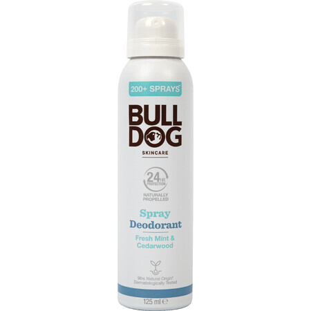 Bulldog Fresh Mint & Zedernholz Deodorant Spray 125 ml