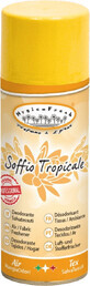 HygienFresh DeoSpray Luft- und Stofferfrischer, Tropical breeze 400 ml