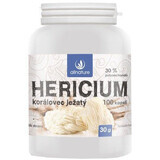 Allnature Hericium Korallenigel 100 Kapseln