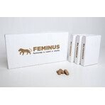 Feminus, 60 Tabletten