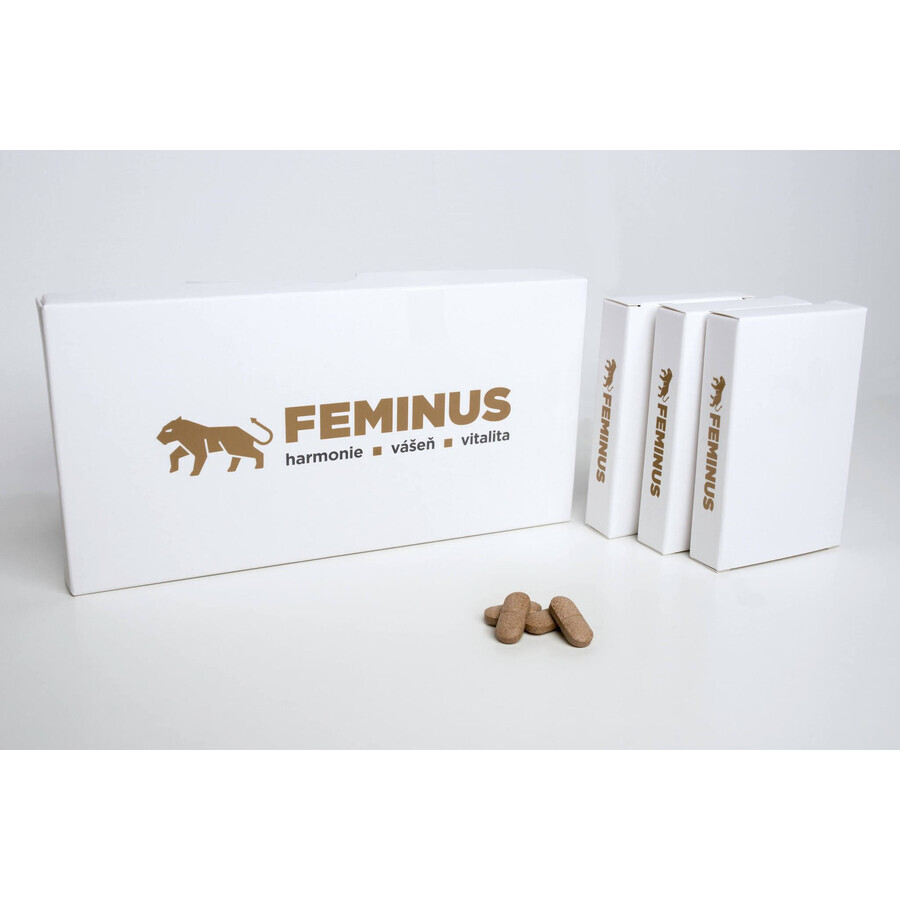 Feminus, 60 Tabletten