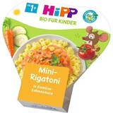 HiPP BIO Mini Rigatoni mit Gemüse in Sahnesauce 250 g