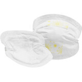 Imbottiture per reggiseno monouso Medela 60 pz.