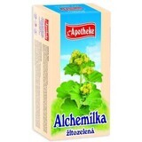 Apotheke Alchemilla thé jaune vert 20x1.5g 20 x 1.5 g