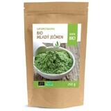 Allnature Organic young barley powder 250 g