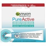 Garnier Pure Active smetbestrijdende topische verzorging 10 ml