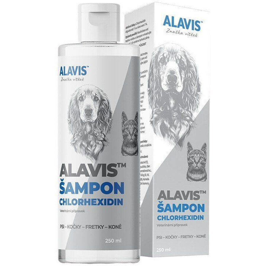 Alavis Shampoo mit Chlorhexidin 250 ml