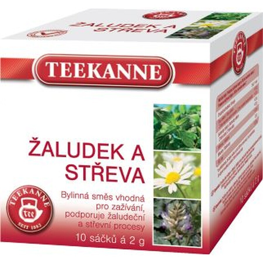 Teekanne Magen und Darm Kräutermischung 20 x 2 g