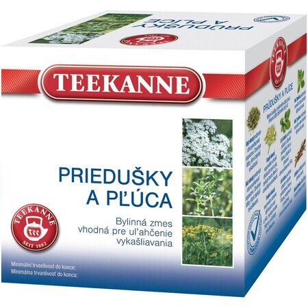 Teekanne Kräutertee für Bronchien und Lunge 10 x 2 g