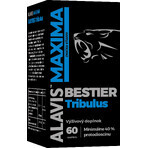 Alavis Maxima Bestier Tribulus 60 Kapseln