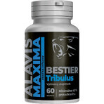 Alavis Maxima Bestier Tribulus 60 Kapseln