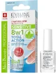 Eveline Cosmetics