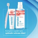 Meridol Complete Care Zahnpasta für empfindliche Zähne und Zahnfleisch 75 ml