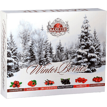 Basilur Winter Berries Assorted pack 120 g gastro bags 60 pcs