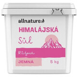 Allnature Sel fin rose de l'Himalaya 5000 g