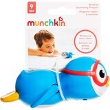 Schwimmender Pinguin Munchkin