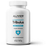 Aliver Nutraceutics Tribulus Terrestris Extract 90% 120 capsules