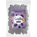 Prunes séchées Allnature 500 g