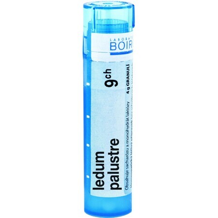 Boiron Ledum Palustre CH9 Granulat 4 g