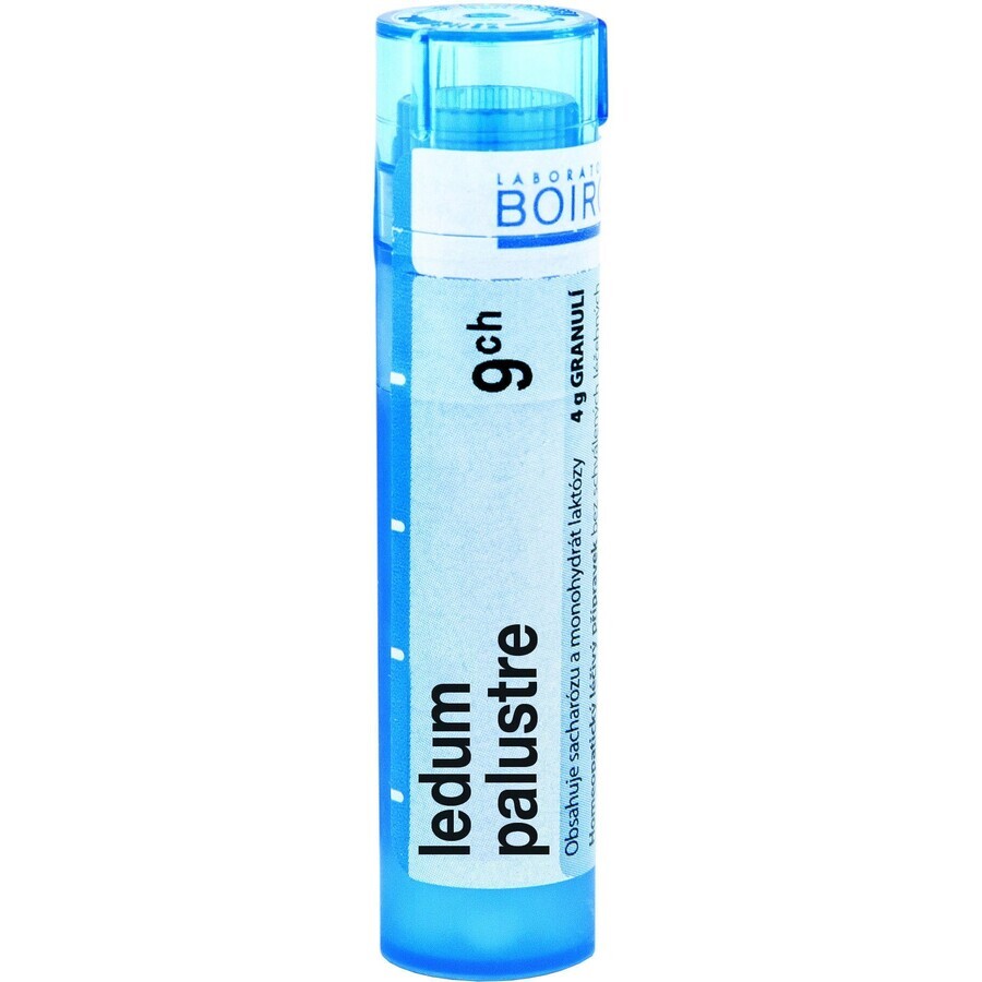 Boiron Ledum Palustre CH9 Granulat 4 g