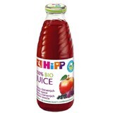 HiPP Succo di frutta rossa biologico con ferro 500 ml