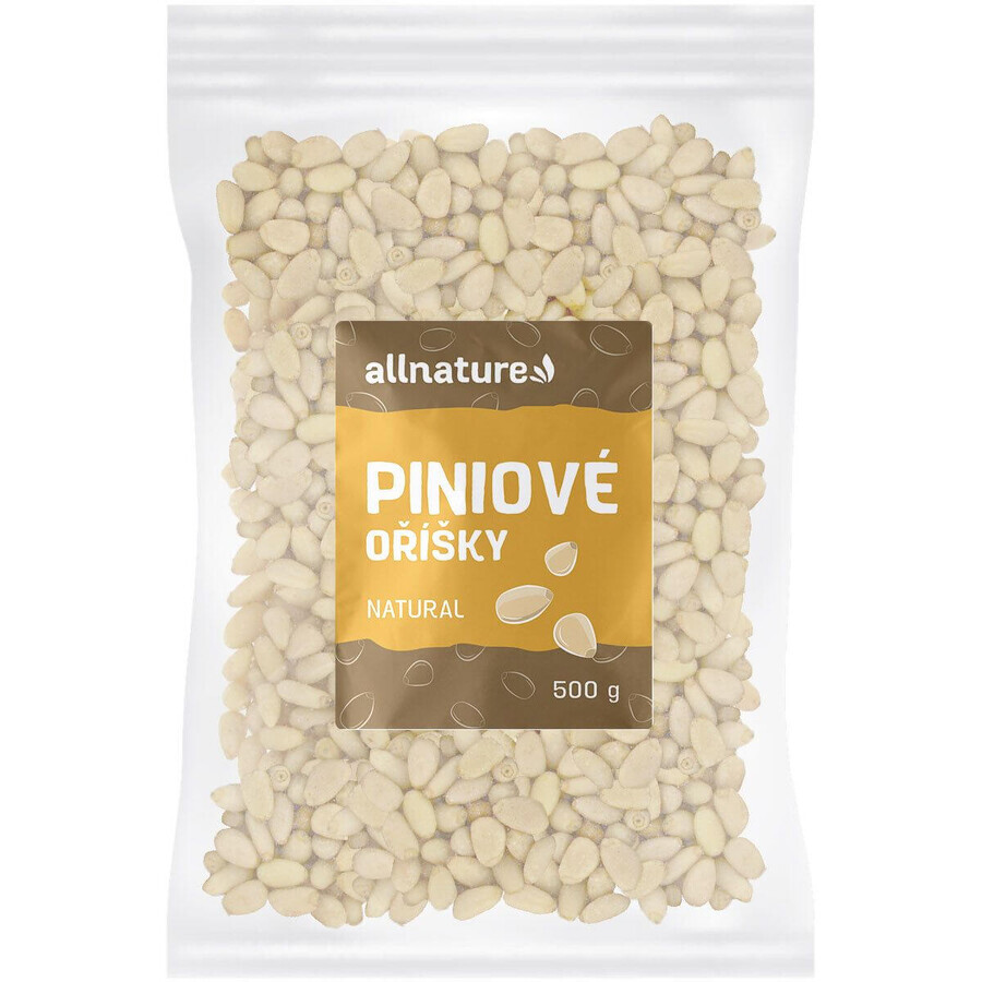 Allnature Pignons de pin 500 g