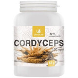 Allnature Cordyceps 100 Kapseln