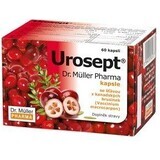 Urosept Tisana urológica 20 x 2 g