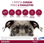 Advantix Spot-on pour les chiens de plus de 25 kg 4 ml