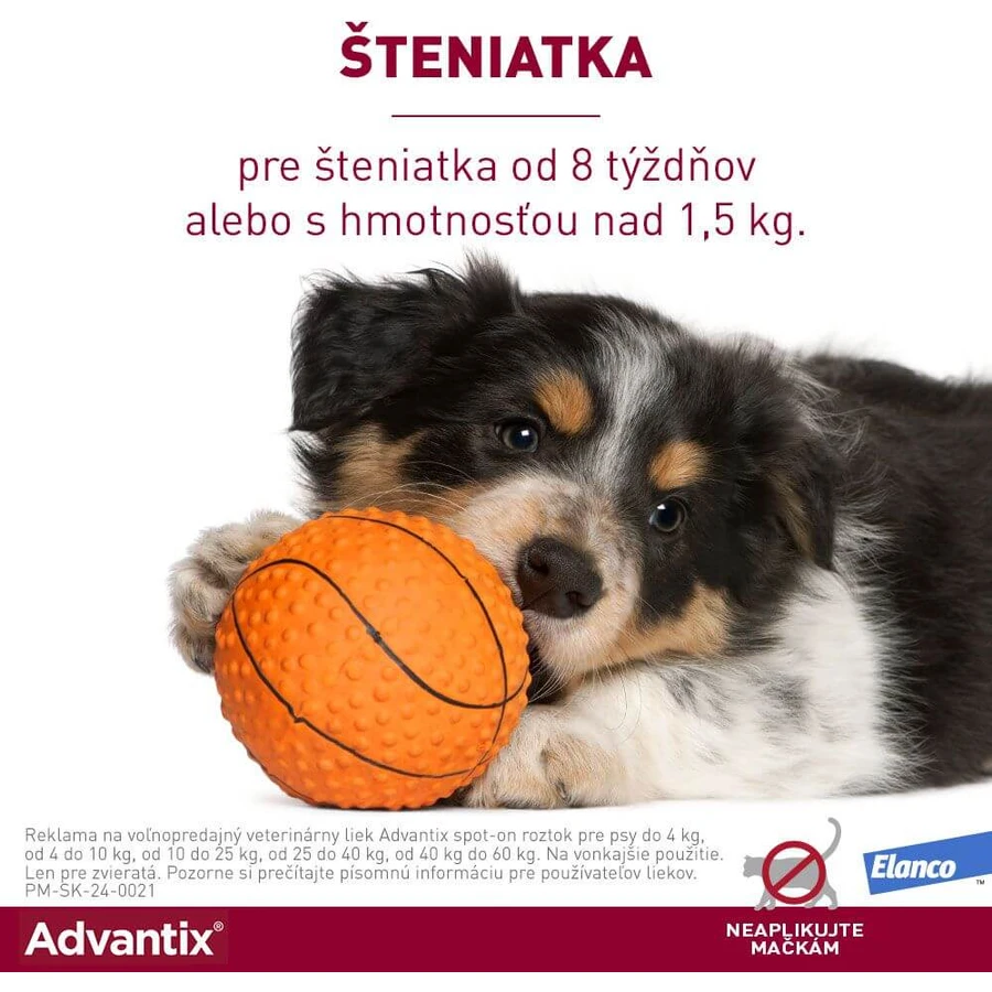 Advantix Spot-on pour les chiens de plus de 25 kg 4 ml