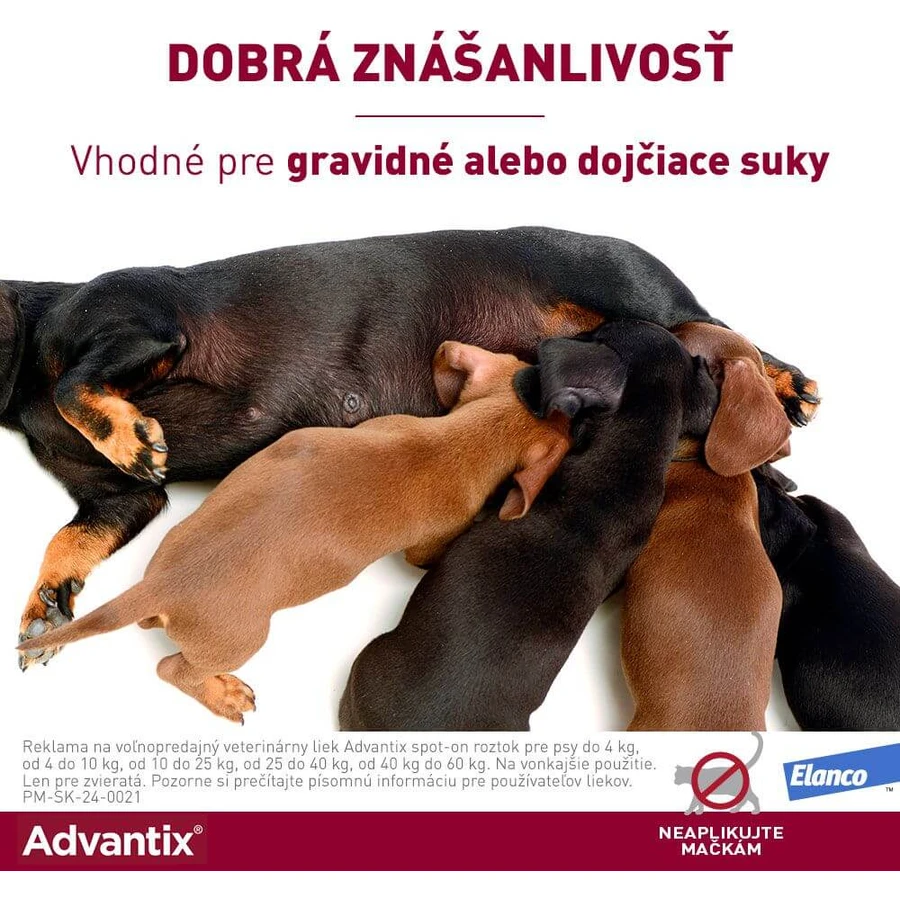 Advantix Spot-on pour les chiens de plus de 25 kg 4 ml