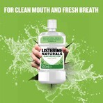 Listerine Naturals Gum Protect 2 x 500 ml