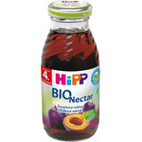 HiPP Juice Nettare di prugna, 200 ml