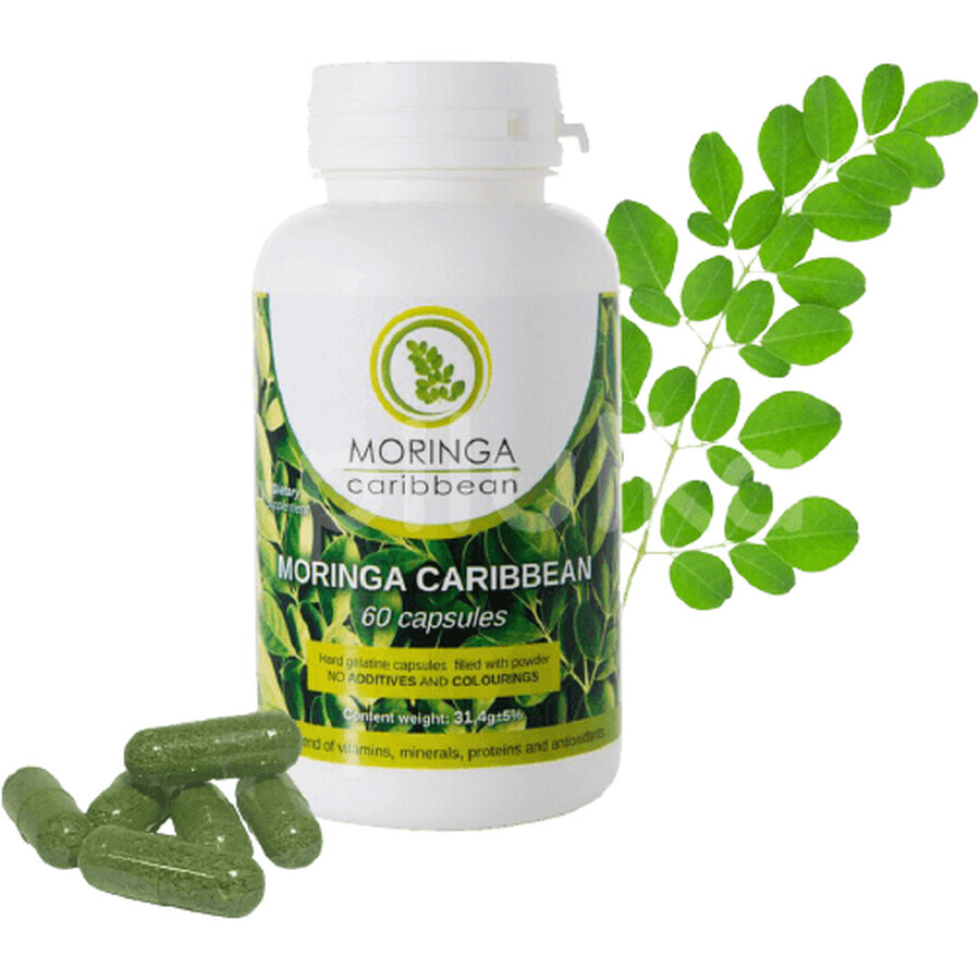 Moringa caribbean Standard 60 capsules