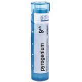 Boiron Pyrogenium CH9 Granulat 4 g