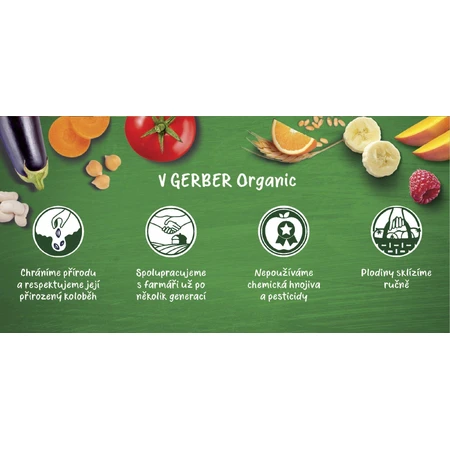 Gerber Terci organic fără lapte cu aromă de biscuiți 200 g